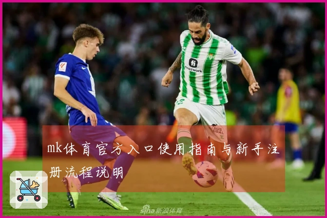 mk体育官方入口使用指南与新手注册流程说明