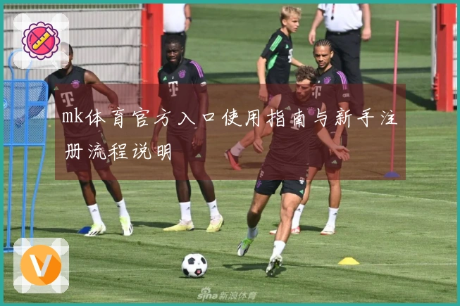mk体育官方入口使用指南与新手注册流程说明